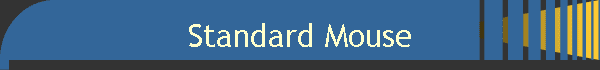 Standard Mouse
